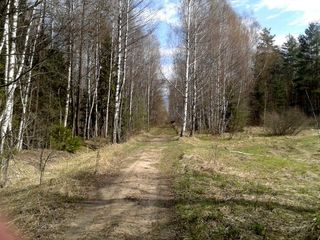 Аллея