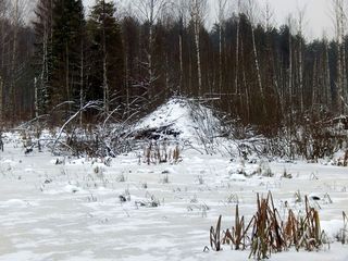 Бобровая хатка