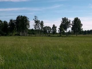 08_pole2.jpg