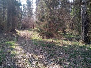 06_kvadrokoleia.jpg